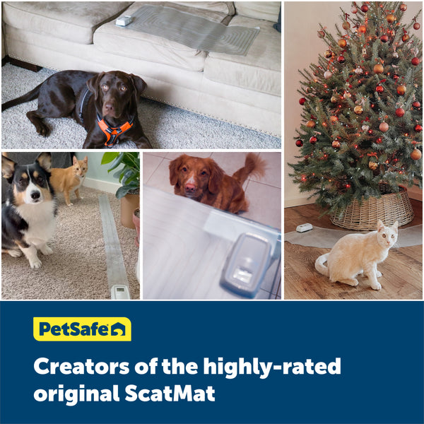 PetSafe® ScatMat® Indoor Training Mat, Medium 76cm x 40cm